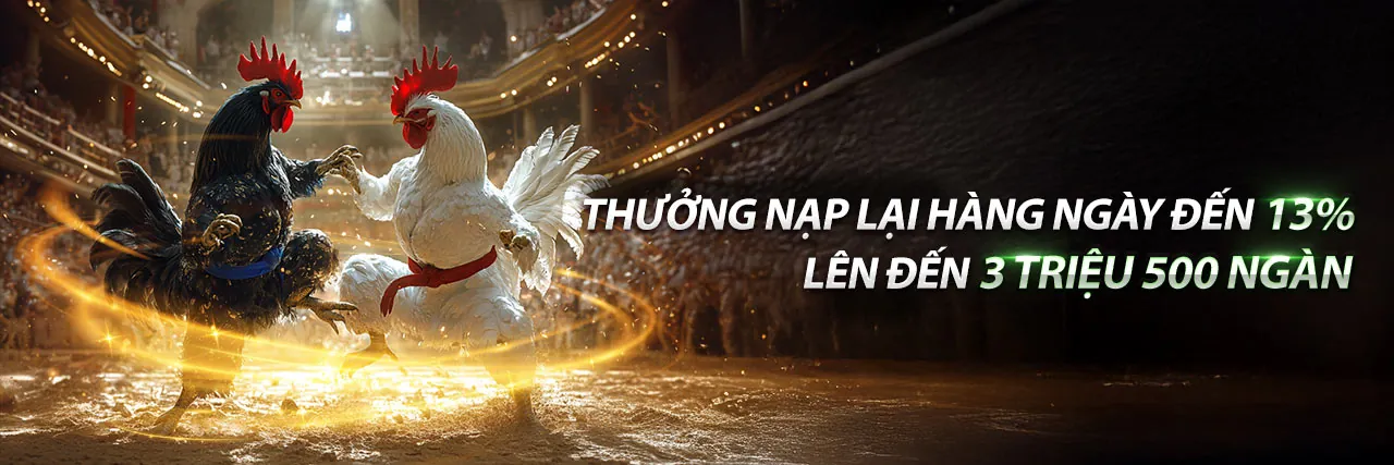 Sân đấu đá gà trực tuyến sôi động tại 188bet 250 Thể Thao